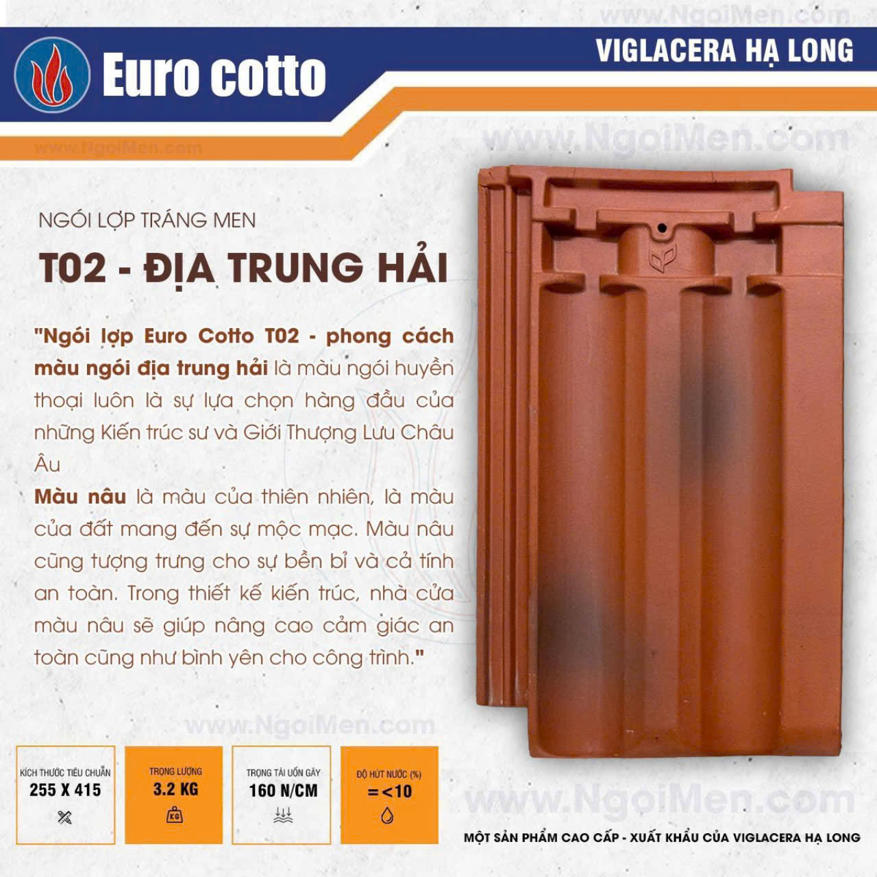 T02 - Địa trung hải