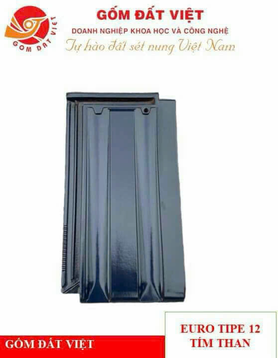 Euro Tipe 12 Tím than